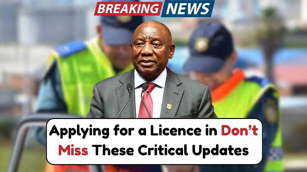 Drivers Licence in 2025