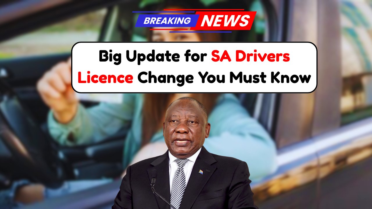 Driver’s Licence in South Africa