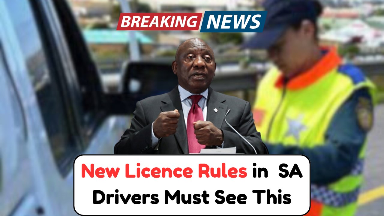 New Drivers Licence Rules