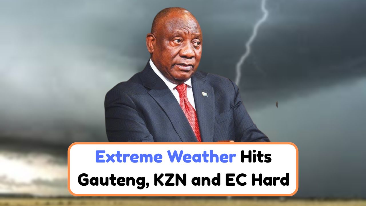 Severe Storm Alert