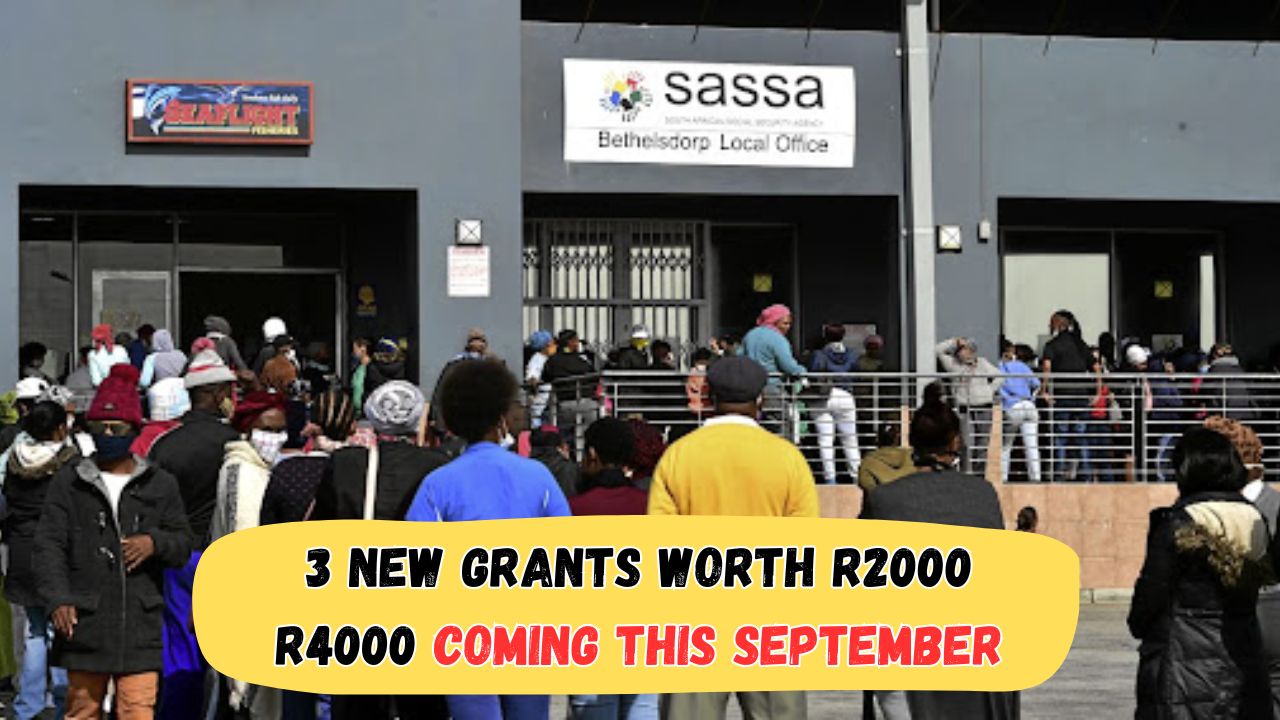 3 New Grants