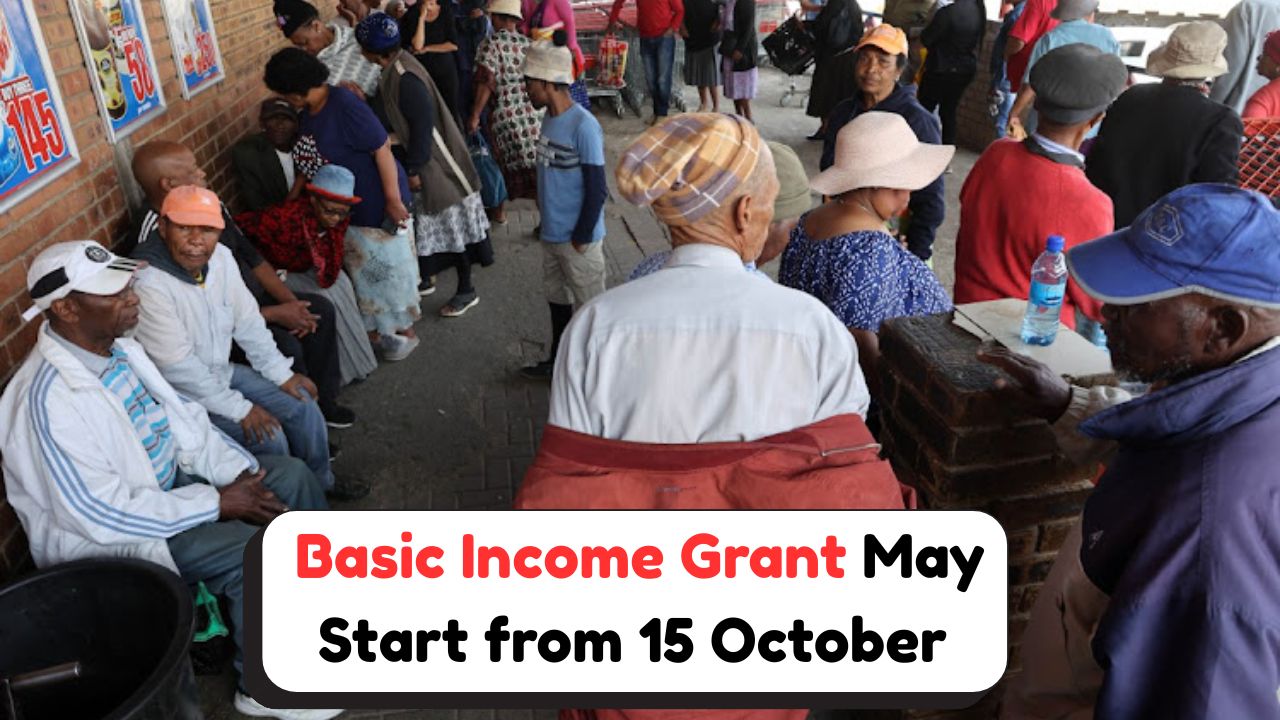 Basic Income Grant