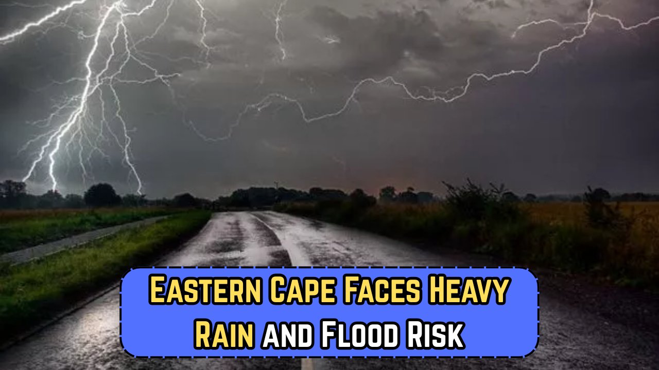 Cape Braces Storm