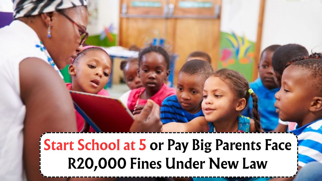 New School Law