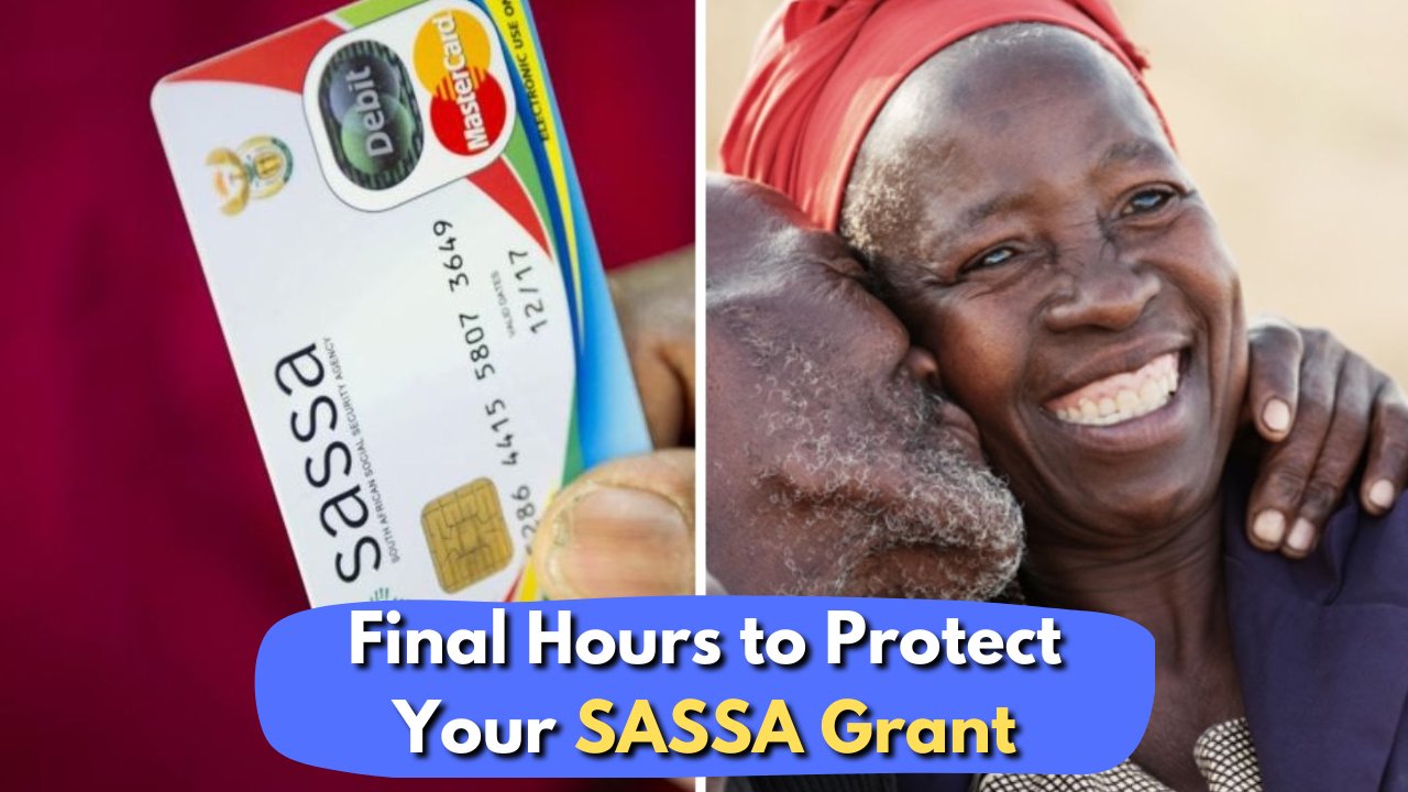 SASSA Mass Suspension