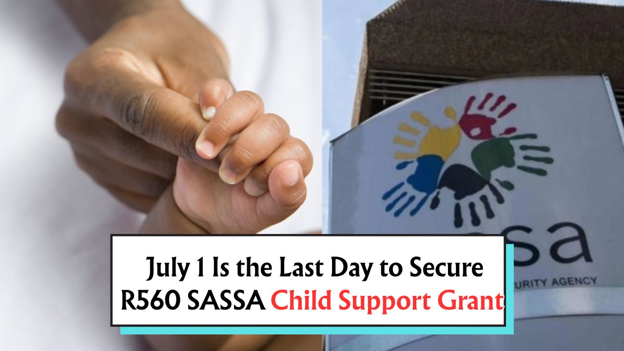 SASSA Parent Alert