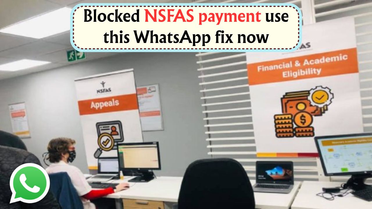 Free WhatsApp Help