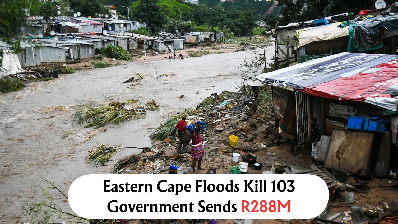R288 million relief