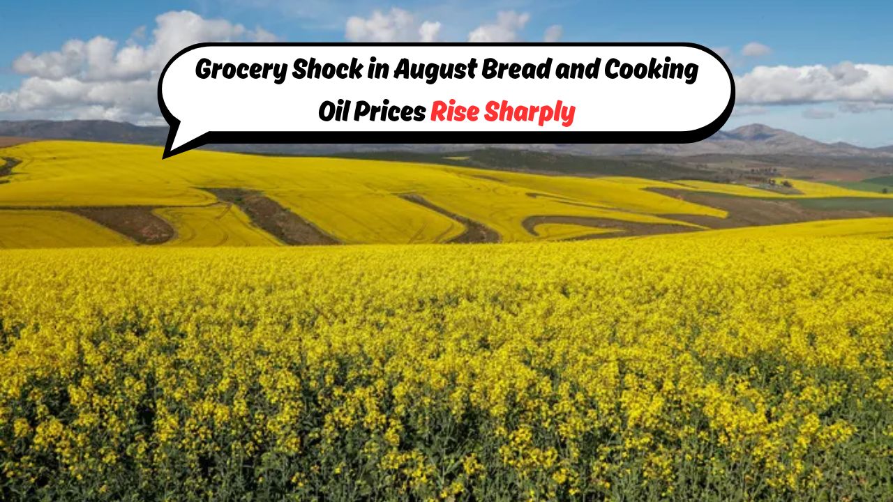 Bread and Cooking Oil Prices
