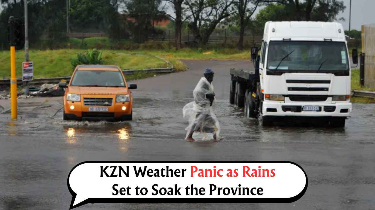 Heavy Rain Forecast