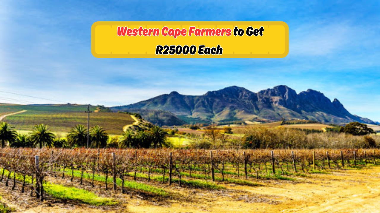 R25,000 Farmer Assistance